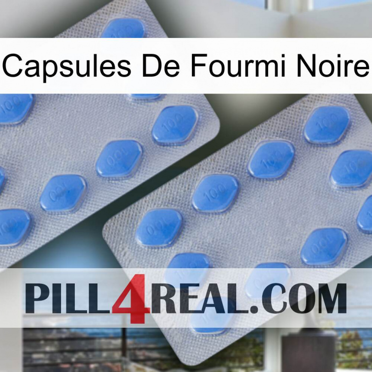 Black Ant Capsules 20